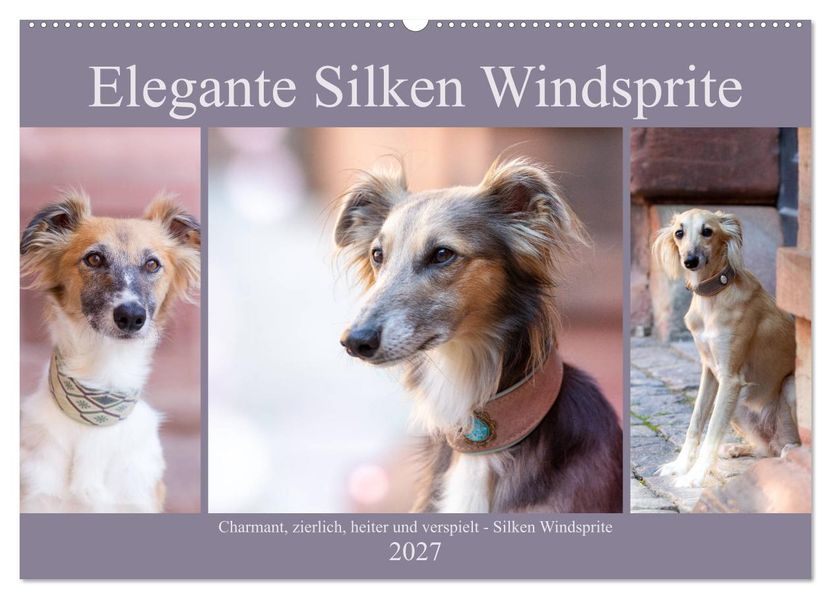 Elegante Silken Windsprite (Wandkalender 2027 DIN A2 quer) CALVENDO Monatskalender