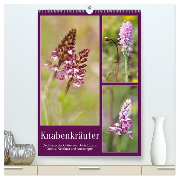 Knabenkräuter (hochwertiger Premium Wandkalender 2027 DIN A2 hoch) Kunstdruck in Hochglanz