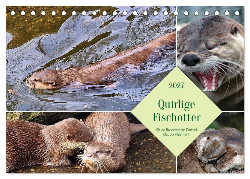 Quirlige Fischotter (Tischkalender 2027 DIN A5 quer) CALVENDO Monatskalender