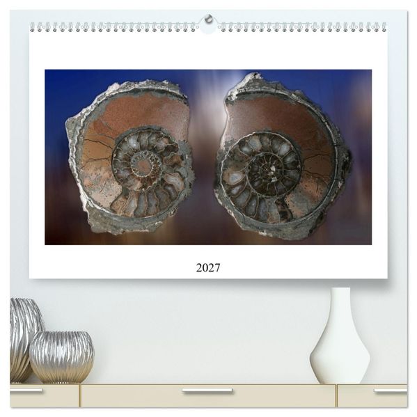 Versteinerte Welt (hochwertiger Premium Wandkalender 2027 DIN A2 quer) Kunstdruck in Hochglanz