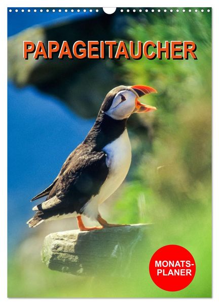 Papageitaucher Monatsplaner (Wandkalender 2027 DIN A3 hoch) CALVENDO Monatskalender