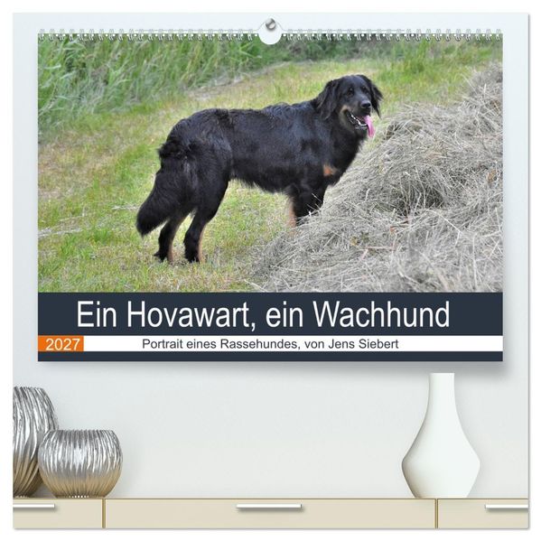 Ein Hovawart ein Wachhund (hochwertiger Premium Wandkalender 2027 DIN A2 quer) Kunstdruck in Hochglanz