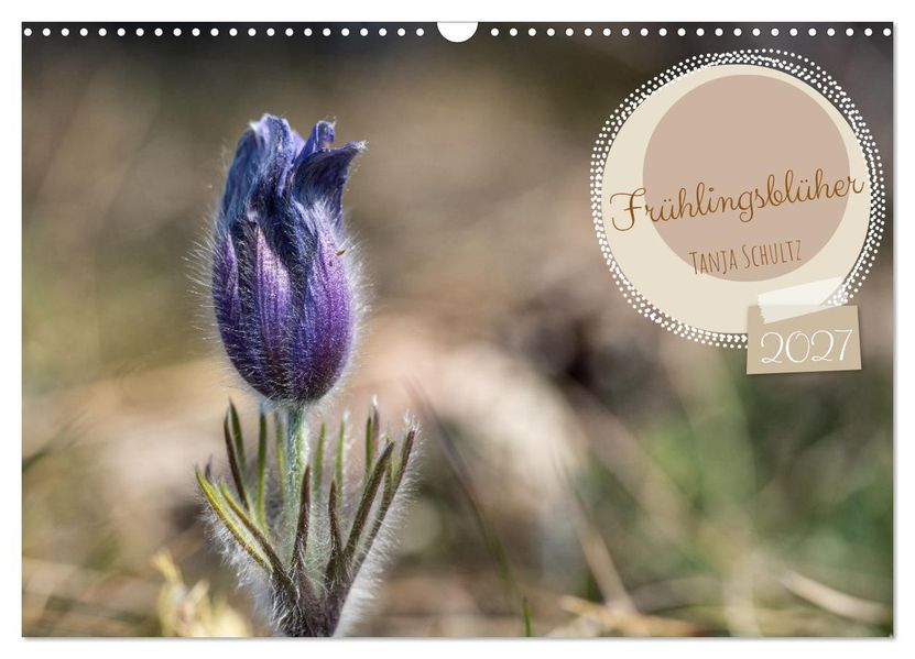 Frühlingsblüher - Farbenpracht nach dem Winter (Wandkalender 2027 DIN A3 quer) CALVENDO Monatskalender