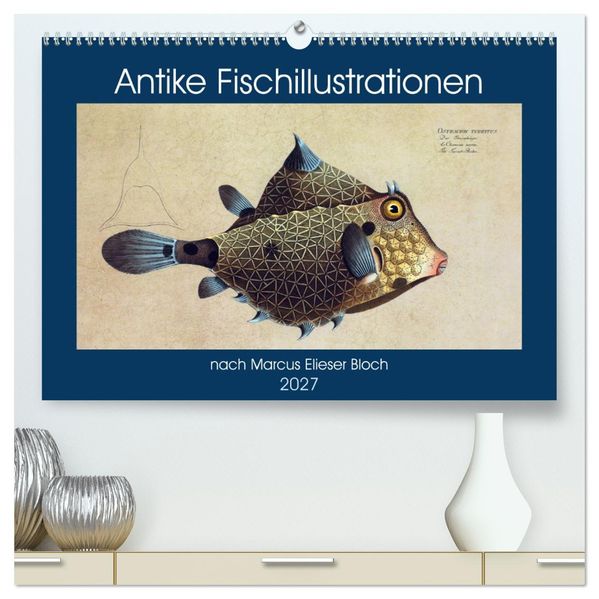 Antike Fischillustrationen nach Marcus Elieser Bloch (hochwertiger Premium Wandkalender 2027 DIN A2 quer) Kunstdruck in Hochglanz