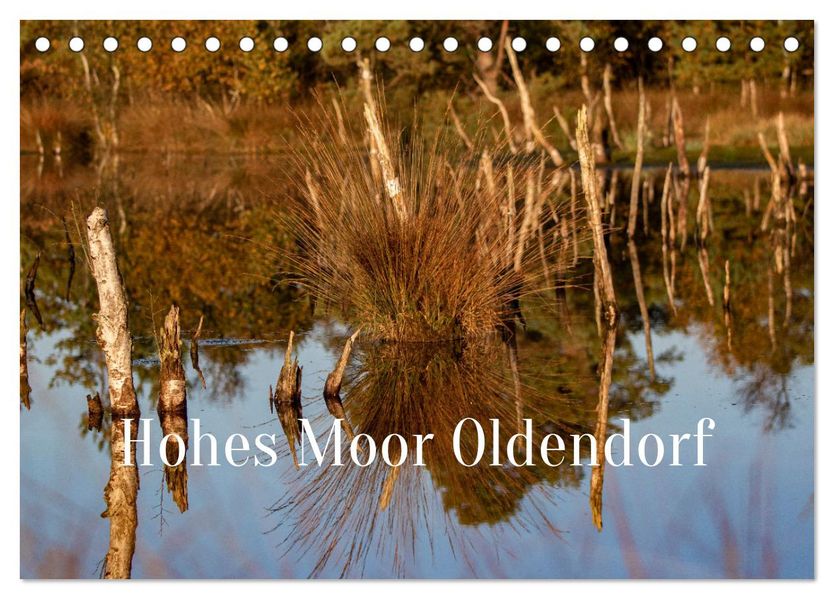 Hohes Moor Oldendorf (Tischkalender 2027 DIN A5 quer) CALVENDO Monatskalender