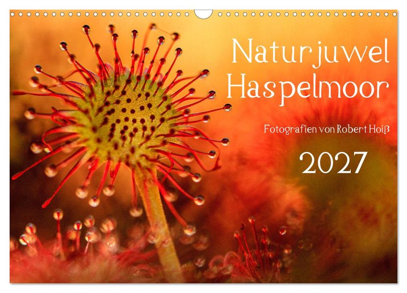 Naturjuwel Haspelmoor (Wandkalender 2027 DIN A3 quer) CALVENDO Monatskalender