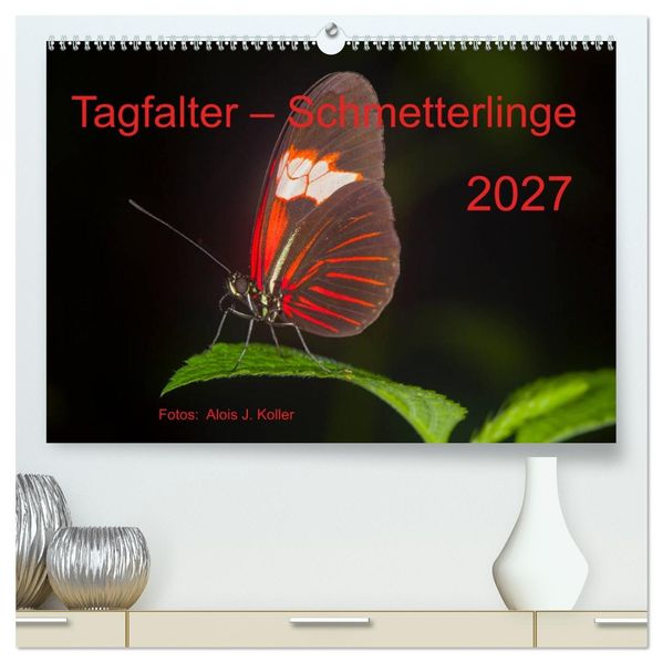 Tagfalter Schmetterlinge (hochwertiger Premium Wandkalender 2027 DIN A2 quer) Kunstdruck in Hochglanz