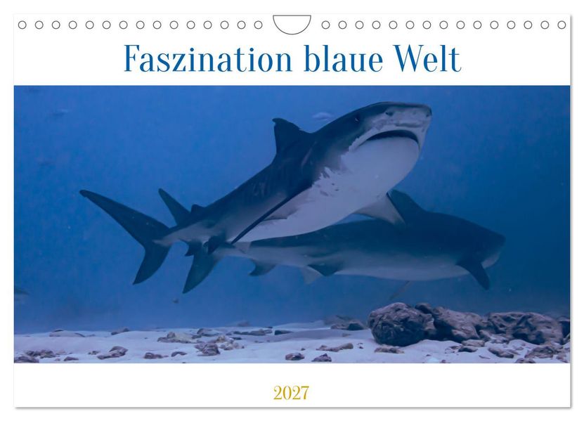 Faszination blaue Welt (Wandkalender 2027 DIN A4 quer) CALVENDO Monatskalender