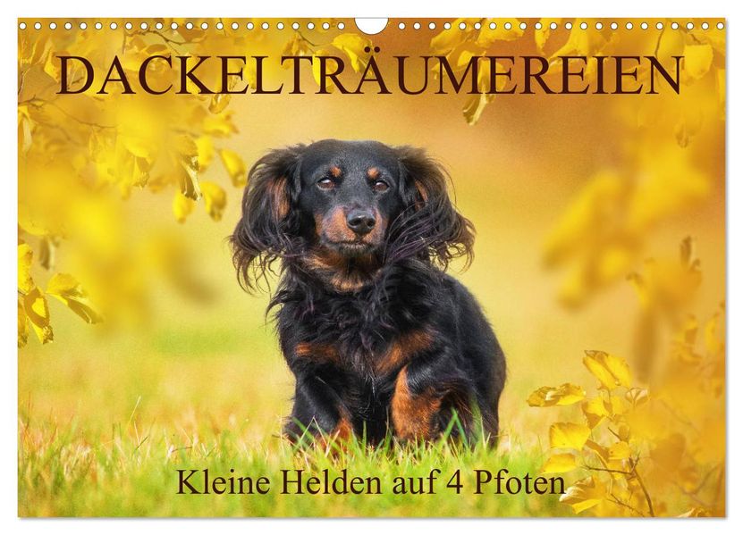 Dackelträumereien - Kleine Helden auf 4 Pfoten (Wandkalender 2027 DIN A3 quer) CALVENDO Monatskalender
