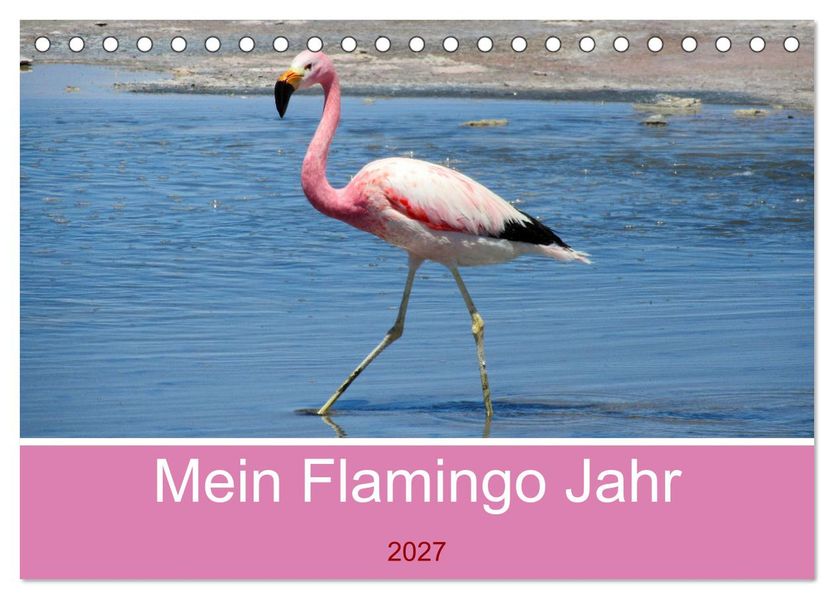 Mein Flamingo Jahr (Tischkalender 2027 DIN A5 quer) CALVENDO Monatskalender
