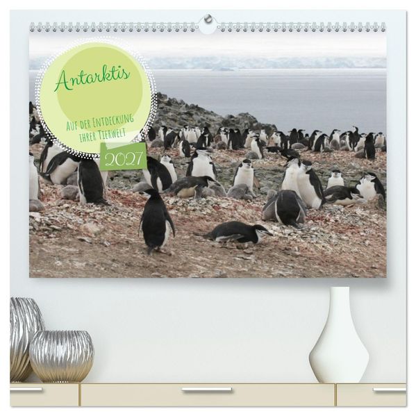 Antarktis Auf der Entdeckung ihrer Tierwelt (hochwertiger Premium Wandkalender 2027 DIN A2 quer) Kunstdruck in Hochglanz