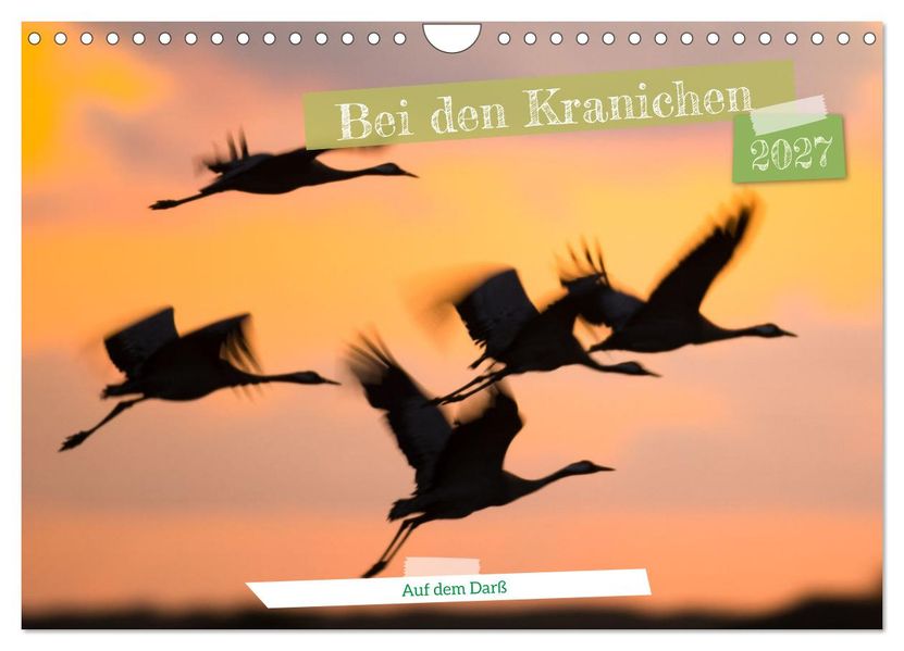Bei den Kranichen (Wandkalender 2027 DIN A4 quer) CALVENDO Monatskalender
