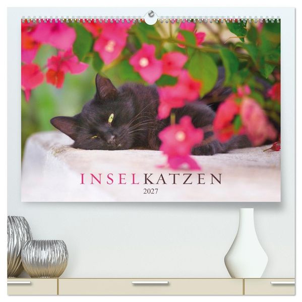 Inselkatzen (hochwertiger Premium Wandkalender 2027 DIN A2 quer) Kunstdruck in Hochglanz
