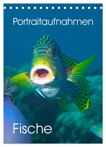Portraitaufnahmen - Fische (Tischkalender 2027 DIN A5 hoch) CALVENDO Monatskalender