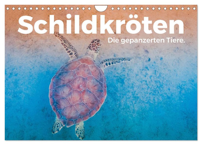 Schildkröten - Die gepanzerten Tiere. (Wandkalender 2027 DIN A4 quer) CALVENDO Monatskalender