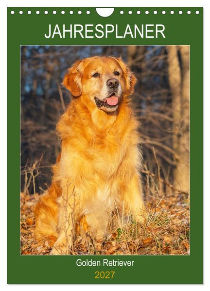 Jahresplaner Golden Retriever (Wandkalender 2027 DIN A4 hoch) CALVENDO Monatskalender
