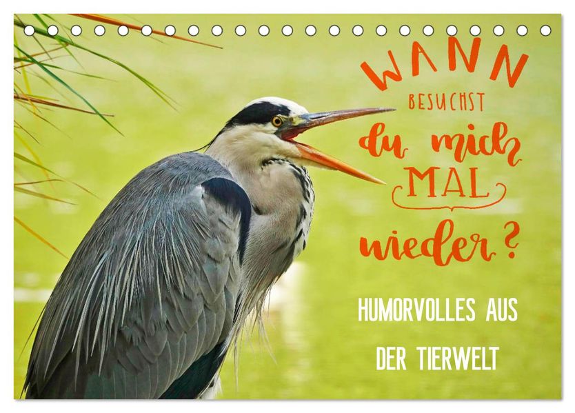 Humorvolles aus der Tierwelt (Tischkalender 2027 DIN A5 quer) CALVENDO Monatskalender