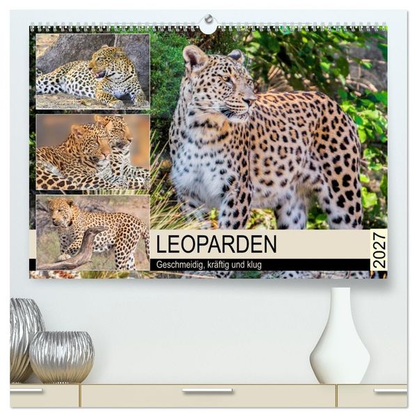 Leoparden. Geschmeidig kräftig und klug (hochwertiger Premium Wandkalender 2027 DIN A2 quer) Kunstdruck in Hochglanz