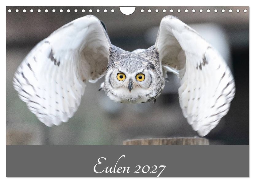 Eulen 2027 (Wandkalender 2027 DIN A4 quer) CALVENDO Monatskalender