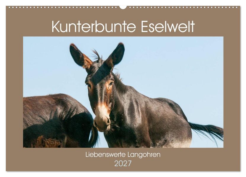 Kunterbunte Eselwelt - Liebenswerte Langohren (Wandkalender 2027 DIN A2 quer) CALVENDO Monatskalender