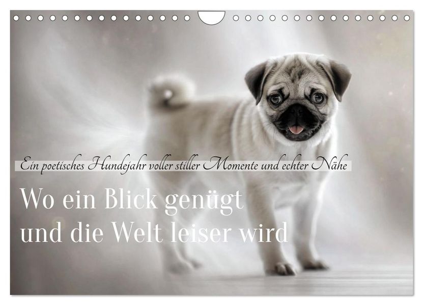 Wo ein Blick genügt und die Welt leiser wird (Wandkalender 2027 DIN A4 quer) CALVENDO Monatskalender