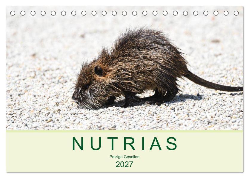 NUTRIAS - Pelzige Gesellen (Tischkalender 2027 DIN A5 quer) CALVENDO Monatskalender