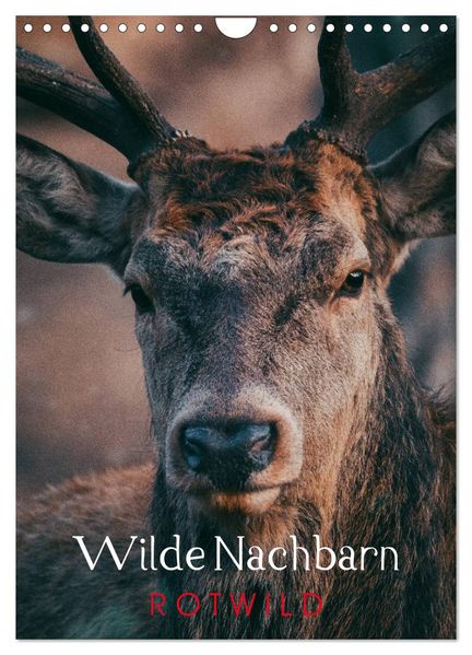 Wilde Nachbarn: Rotwild (Wandkalender 2027 DIN A4 hoch) CALVENDO Monatskalender
