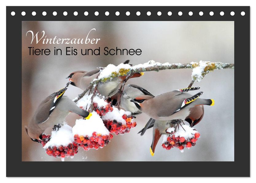 Winterzauber - Tiere in Eis und Schnee (Tischkalender 2027 DIN A5 quer) CALVENDO Monatskalender
