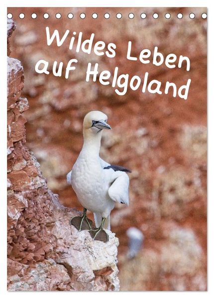 Wildes Leben auf Helgoland (Tischkalender 2027 DIN A5 hoch) CALVENDO Monatskalender