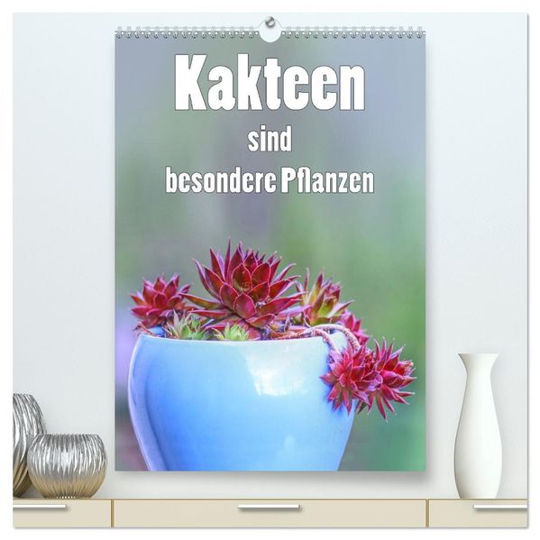 Kakteen sind besondere Pflanzen (hochwertiger Premium Wandkalender 2027 DIN A2 hoch) Kunstdruck in Hochglanz