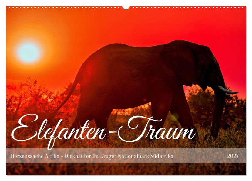 Elefanten-Traum - Herzenssache Afrika (Wandkalender 2027 DIN A2 quer) CALVENDO Monatskalender