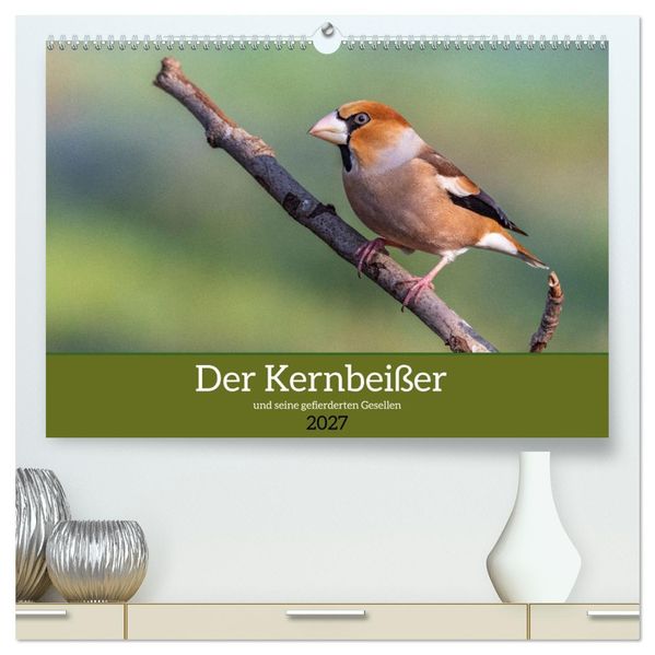 Der Kernbeißer und seine gefiederten Gesellen (hochwertiger Premium Wandkalender 2027 DIN A2 quer) Kunstdruck in Hochglanz