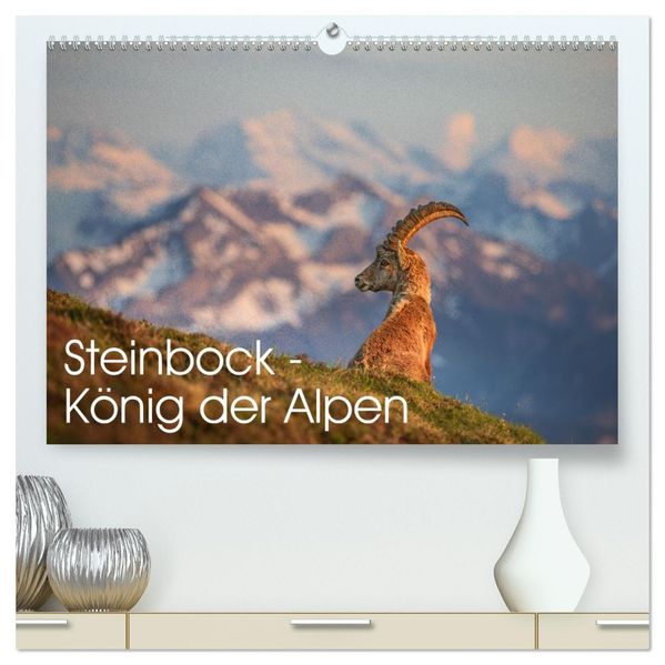 Steinbock - König der Alpen (hochwertiger Premium Wandkalender 2027 DIN A2 quer) Kunstdruck in Hochglanz