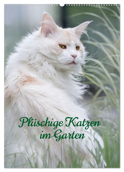 Plüschige Katzen im Garten (Wandkalender 2027 DIN A2 hoch) CALVENDO Monatskalender