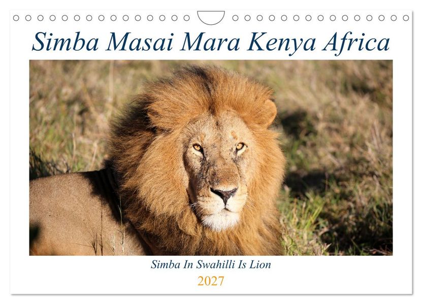 Simba Masai Mara Kenya Africa (Wall Calendar 2027 DIN A4 landscape) CALVENDO 12 Month Wall Calendar