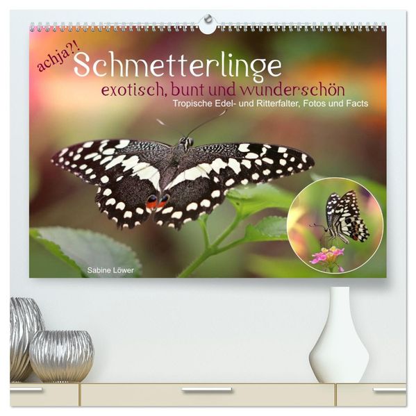 achja?! Schmetterlinge exotisch bunt und wunderschön (hochwertiger Premium Wandkalender 2027 DIN A2 quer) Kunstdruck in Hochglanz