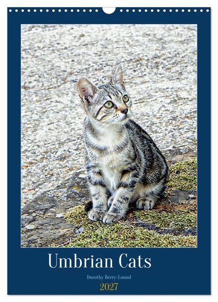 Umbrian Cats (Wall Calendar 2027 DIN A3 portrait) CALVENDO 12 Month Wall Calendar