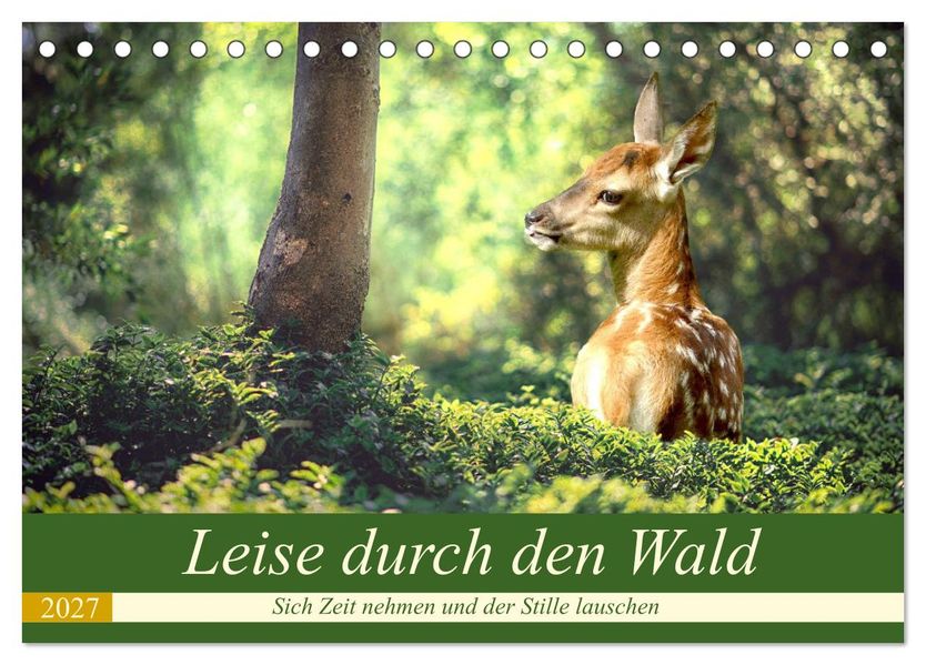 Leise durch den Wald. Sich Zeit nehmen und der Stille lauschen (Tischkalender 2027 DIN A5 quer) CALVENDO Monatskalender
