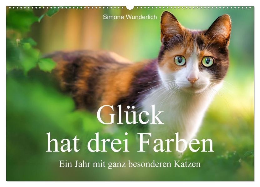 Glück hat drei Farben - ein Jahr mit ganz besonderen Katzen (Wandkalender 2027 DIN A2 quer) CALVENDO Monatskalender