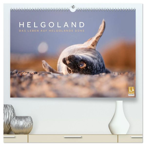 Helgoland - Das Leben auf der Düne Helgolands (hochwertiger Premium Wandkalender 2027 DIN A2 quer) Kunstdruck in Hochglanz