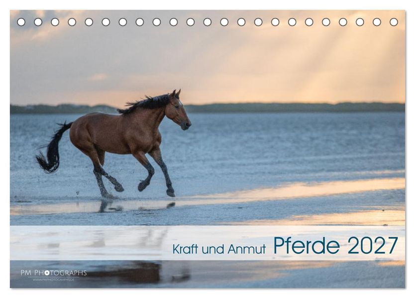 Pferde 2027 Kraft und Anmut (Tischkalender 2027 DIN A5 quer) CALVENDO Monatskalender