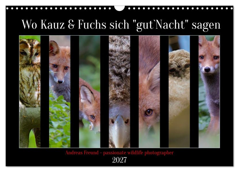 Wo Kauz & Fuchs sich 'gut`Nacht' sagen (Wandkalender 2027 DIN A3 quer) CALVENDO Monatskalender