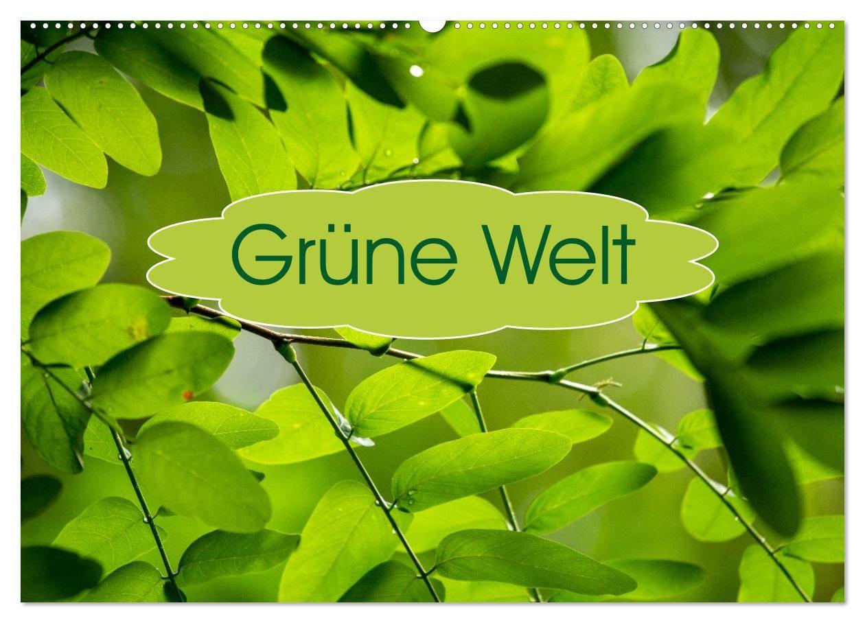 Grüne Welten (Wandkalender 2027 DIN A2 quer) CALVENDO Monatskalender