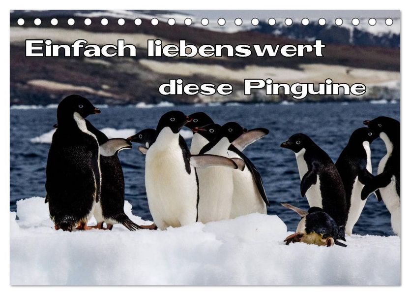 Einfach liebenswert diese Pinguine (Tischkalender 2027 DIN A5 quer) CALVENDO Monatskalender