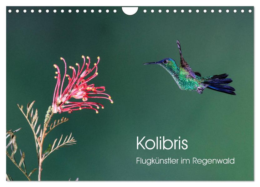 Kolibris - Flugkünstler im Regenwald (Wandkalender 2027 DIN A4 quer) CALVENDO Monatskalender