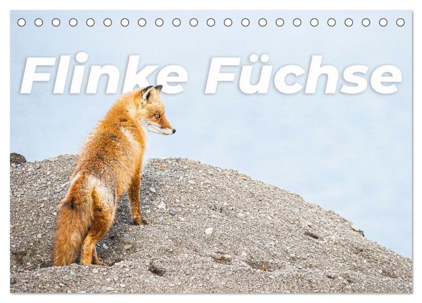 Flinke Füchse (Tischkalender 2027 DIN A5 quer) CALVENDO Monatskalender