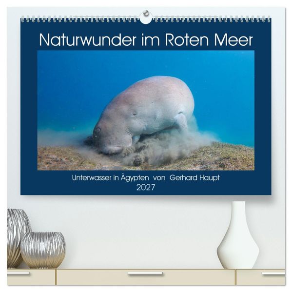 Naturwunder im Roten Meer (hochwertiger Premium Wandkalender 2027 DIN A2 quer) Kunstdruck in Hochglanz