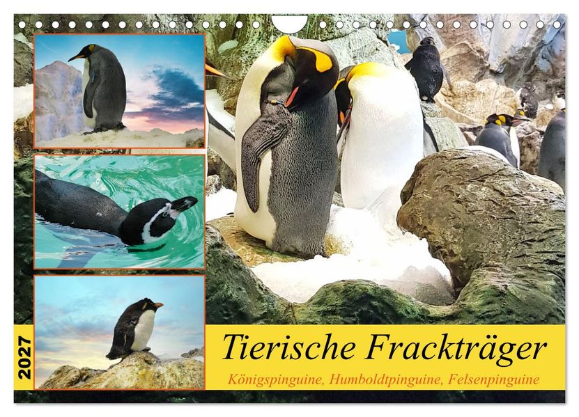 Tierische Frackträger (Wandkalender 2027 DIN A4 quer) CALVENDO Monatskalender