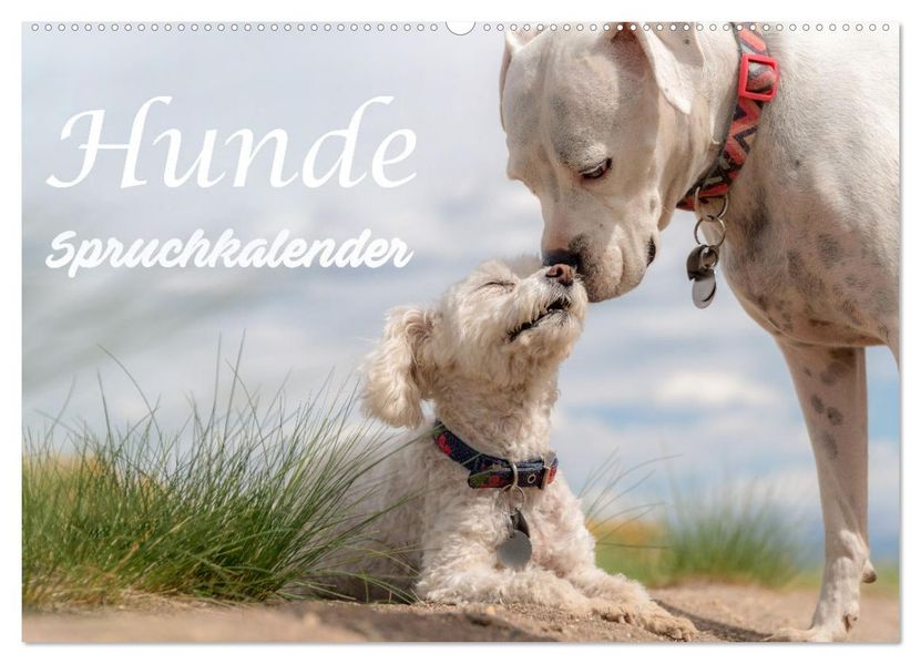 Hunde Spruchkalender (Wandkalender 2027 DIN A2 quer) CALVENDO Monatskalender