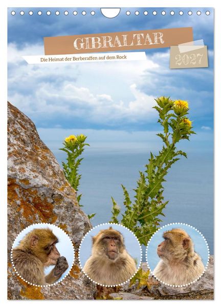 Gibraltar - Die Heimat der Berberaffen auf dem Rock (Wandkalender 2027 DIN A4 hoch) CALVENDO Monatskalender